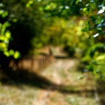 image: Image from the photoset &lsquo;rumelange (xvi)&rsquo;.