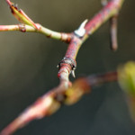 image: Image from the photoset &lsquo;rumelange (xvi)&rsquo;.