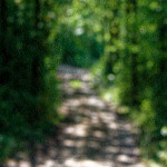 image: Image from the photoset &lsquo;rumelange (xvi)&rsquo;.