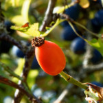 image: Image from the photoset &lsquo;rumelange (xvi)&rsquo;.