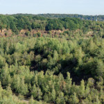 image: Image from the photoset &lsquo;rumelange (xvii)&rsquo;.