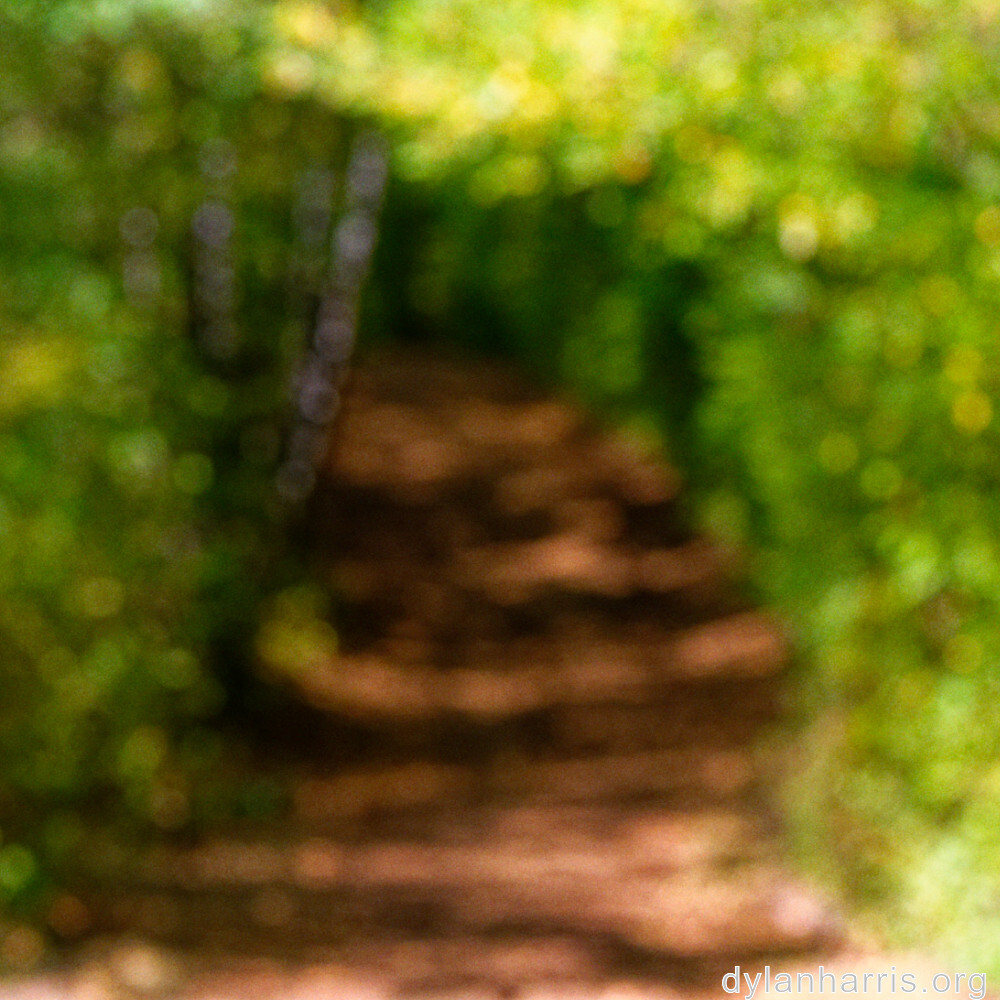 image: This is &lsquo;belvaux (xii) 1&rsquo;.