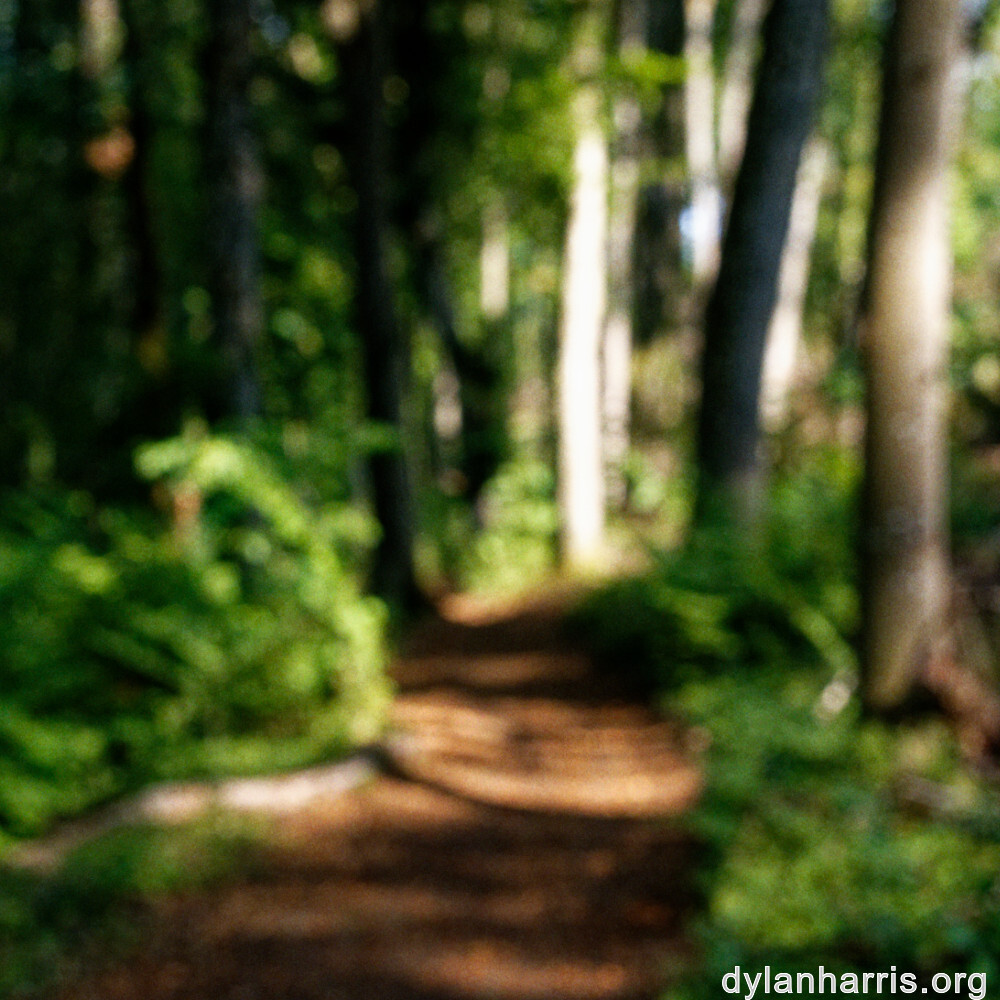 image: This is &lsquo;belvaux (xii) 2&rsquo;.