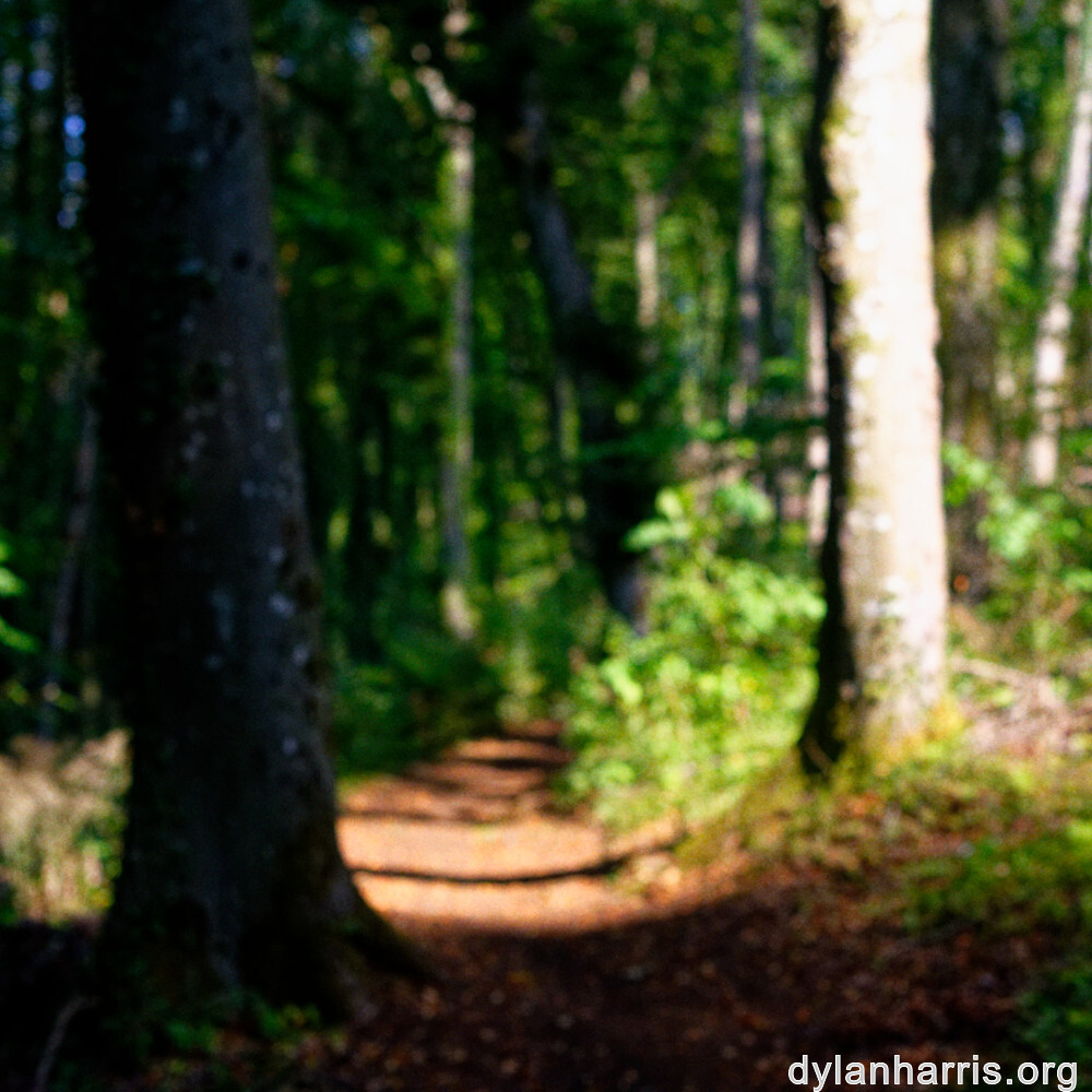 image: This is &lsquo;belvaux (xii) 3&rsquo;.