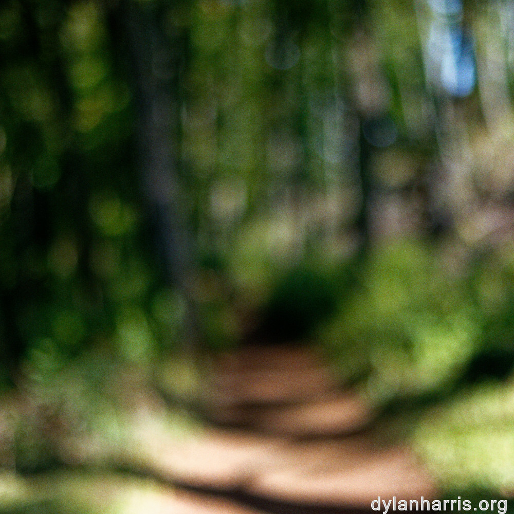 image: This is &lsquo;belvaux (xii) 5&rsquo;.