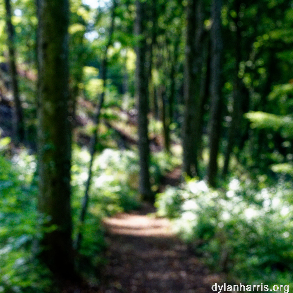 image: This is &lsquo;belvaux (xii) 6&rsquo;.