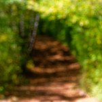 image: Image from the photoset &lsquo;belvaux (xii)&rsquo;.