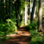 image: Image from the photoset &lsquo;belvaux (xii)&rsquo;.