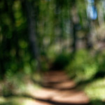 image: Image from the photoset &lsquo;belvaux (xii)&rsquo;.