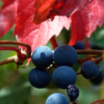 image: Image from the photoset &lsquo;rumelange (xviii)&rsquo;.