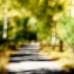 image: Image from the photoset &lsquo;rumelange (xix)&rsquo;.