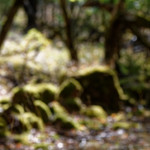 image: Image from the photoset &lsquo;rumelange (xix)&rsquo;.