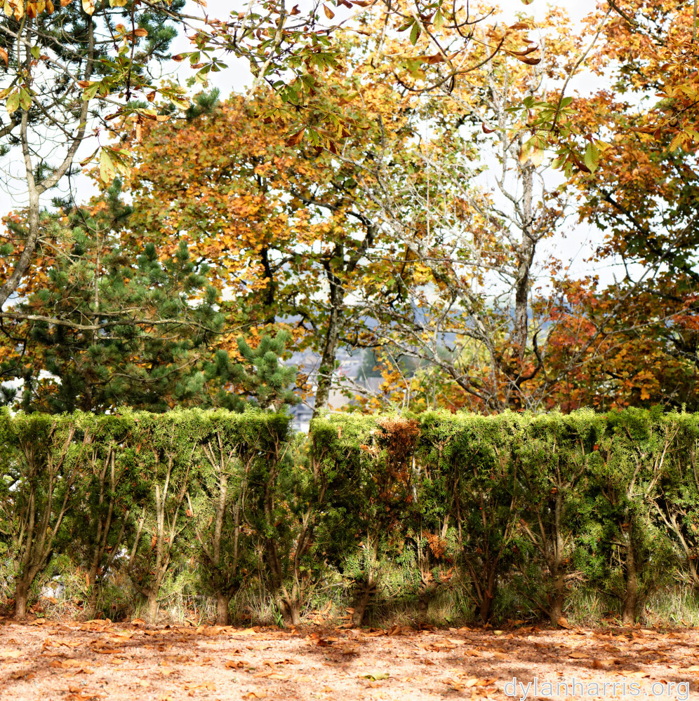 image: This is &lsquo;parc (xliv) 1&rsquo;.