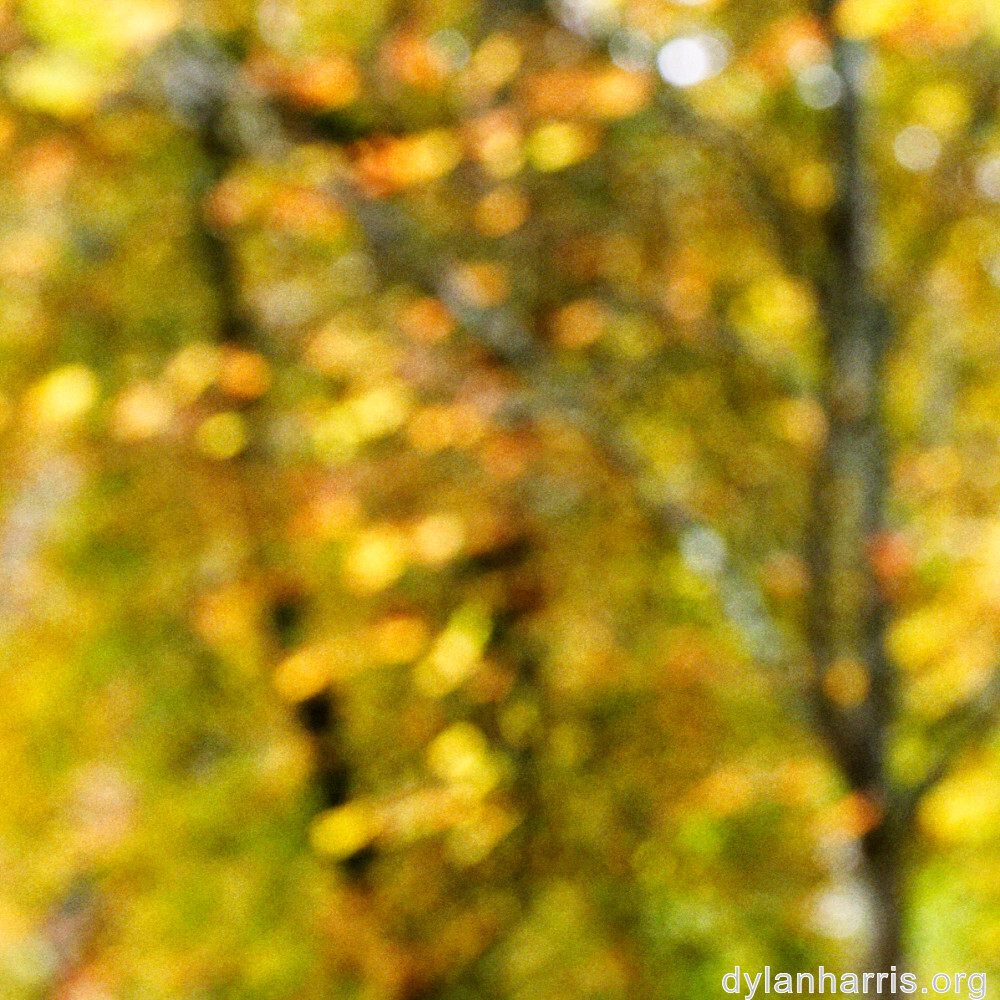 image: This is &lsquo;parc (xliv) 2&rsquo;.