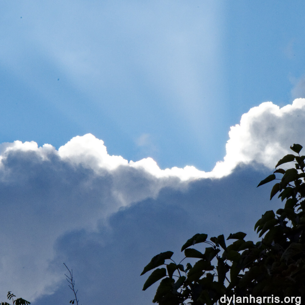 image: This is &lsquo;parc (xliv) 7&rsquo;.