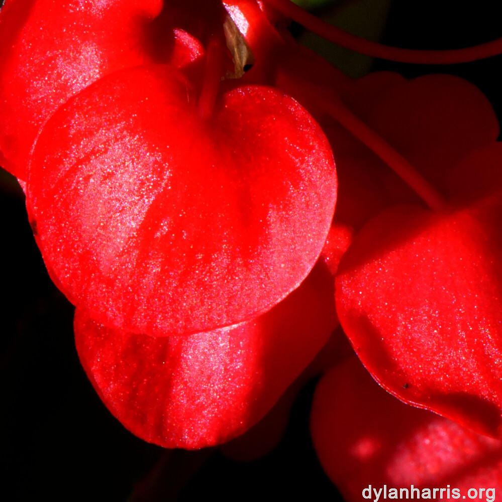 image: This is &lsquo;parc (xliv) 8&rsquo;.