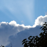 image: Image from the photoset &lsquo;parc (xliv)&rsquo;.