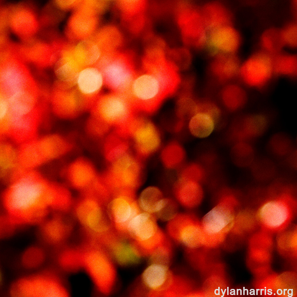 image: This is &lsquo;escher blummen (clxii) 1&rsquo;.