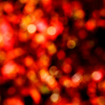 image: Image from the photoset &lsquo;escher blummen (clxii)&rsquo;.