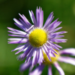 image: Image from the photoset &lsquo;rumelange (xx)&rsquo;.