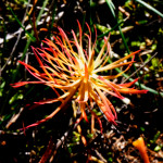 image: Image from the photoset &lsquo;rumelange (xx)&rsquo;.