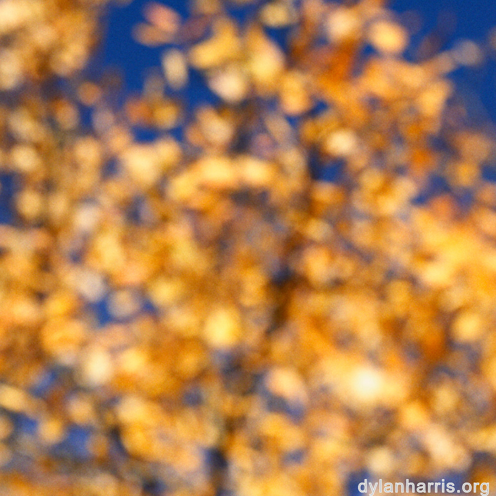 image: This is &lsquo;rumelange 2&rsquo;.