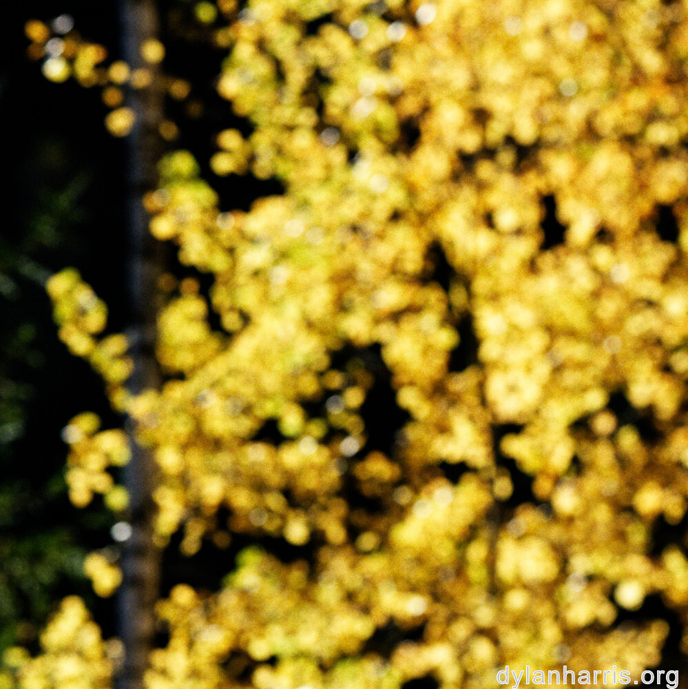 image: This is &lsquo;rumelange 3&rsquo;.