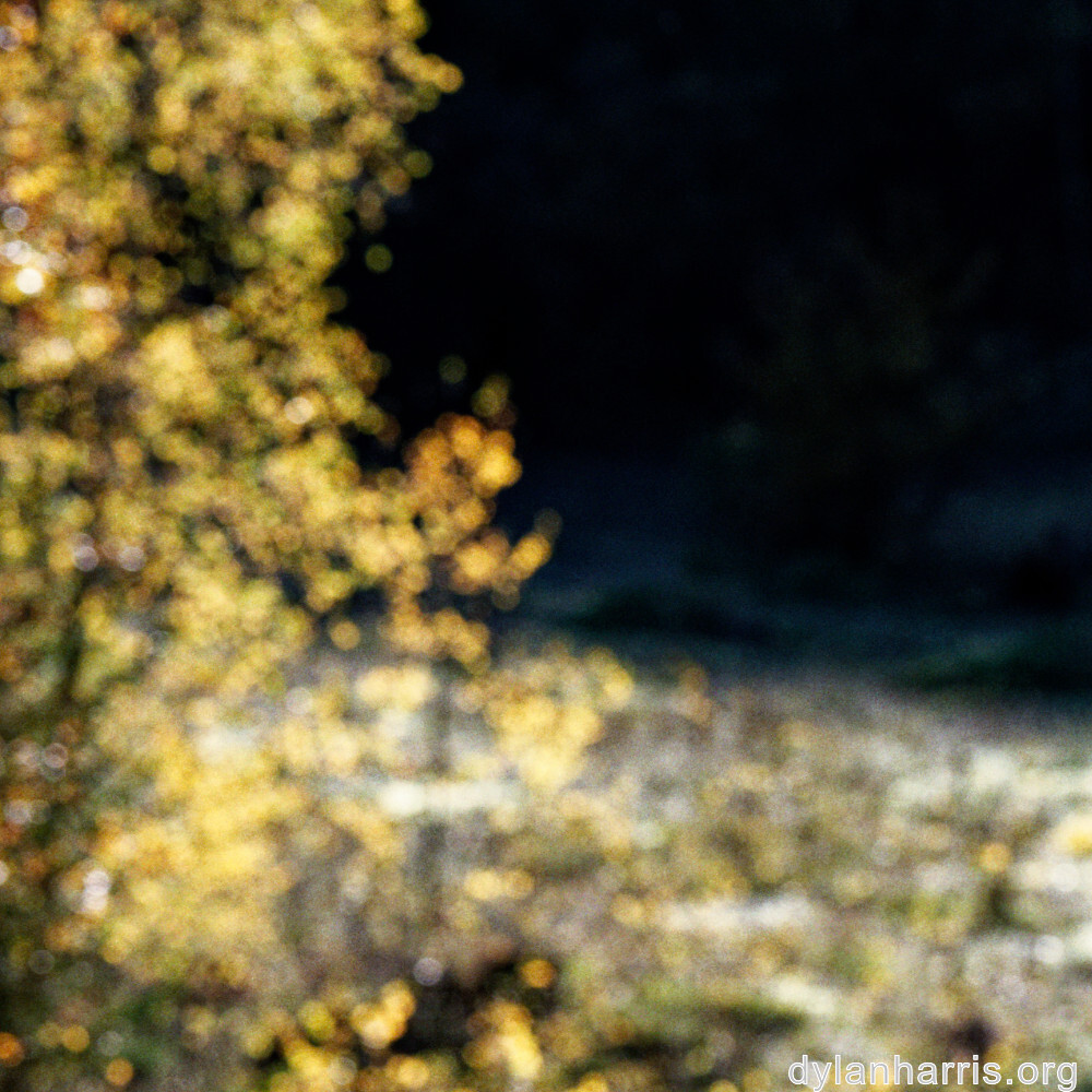 image: This is &lsquo;rumelange 4&rsquo;.