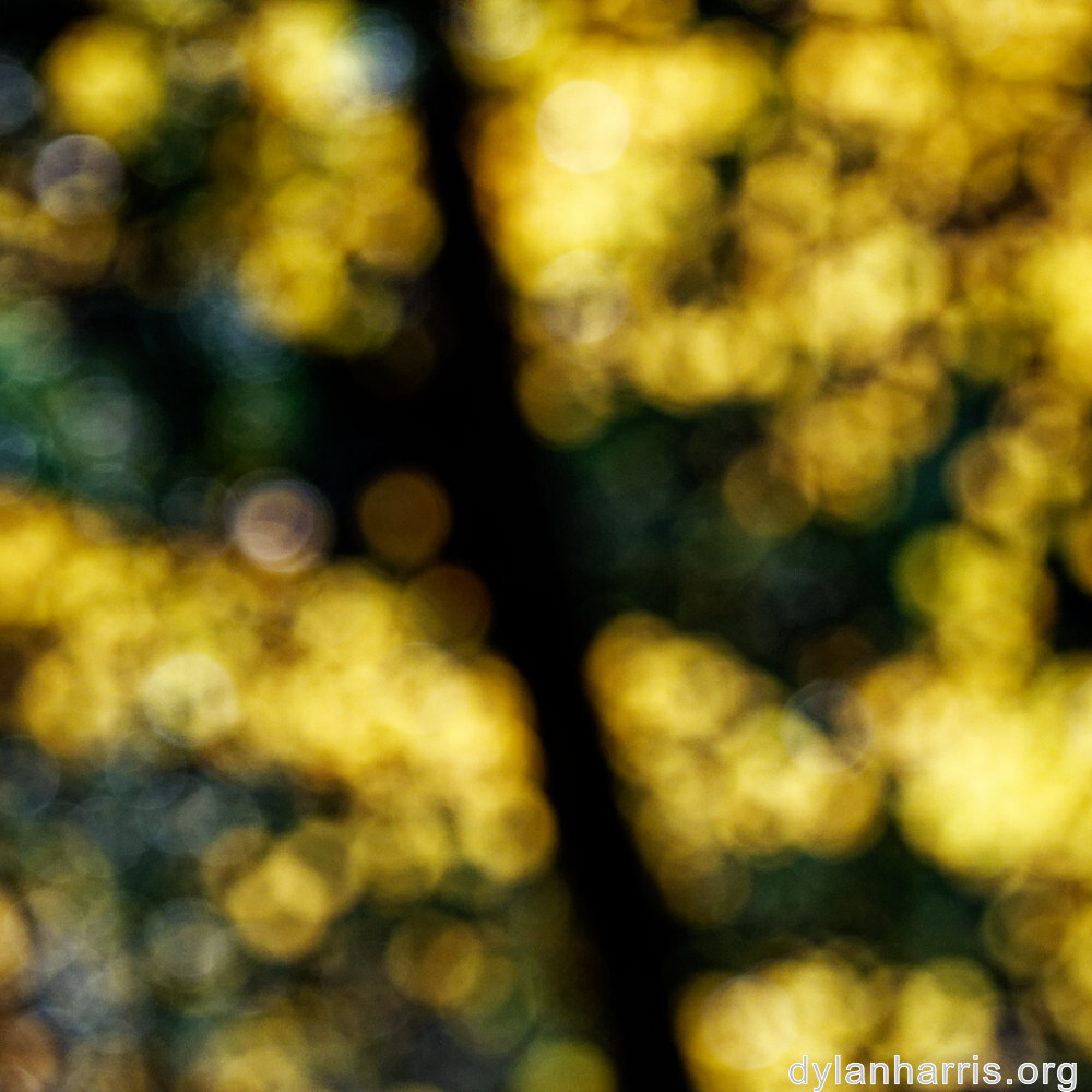 image: This is &lsquo;rumelange 5&rsquo;.