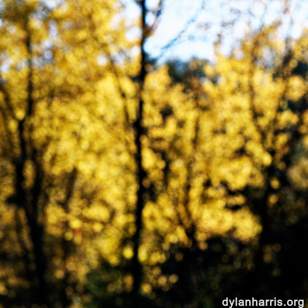 image: This is &lsquo;rumelange 8&rsquo;.