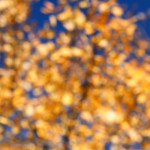 image: Image from the photoset &lsquo;rumelange (xxi)&rsquo;.