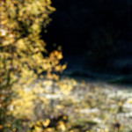 image: Image from the photoset &lsquo;rumelange (xxi)&rsquo;.