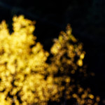 image: Image from the photoset &lsquo;rumelange (xxi)&rsquo;.