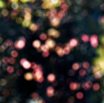 image: Image from the photoset &lsquo;rumelange (xxi)&rsquo;.