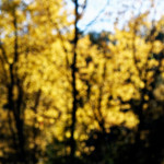 image: Image from the photoset &lsquo;rumelange (xxi)&rsquo;.