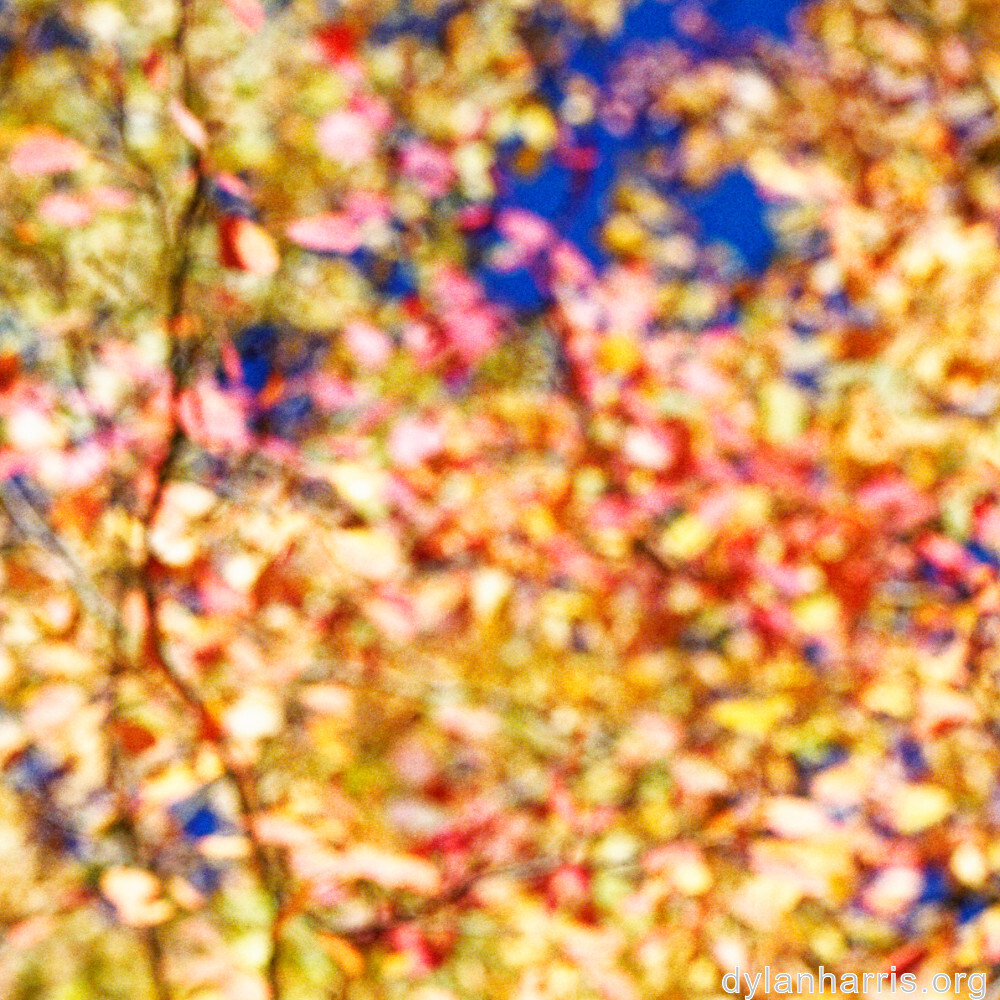 image: This is &lsquo;rumelange 1&rsquo;.