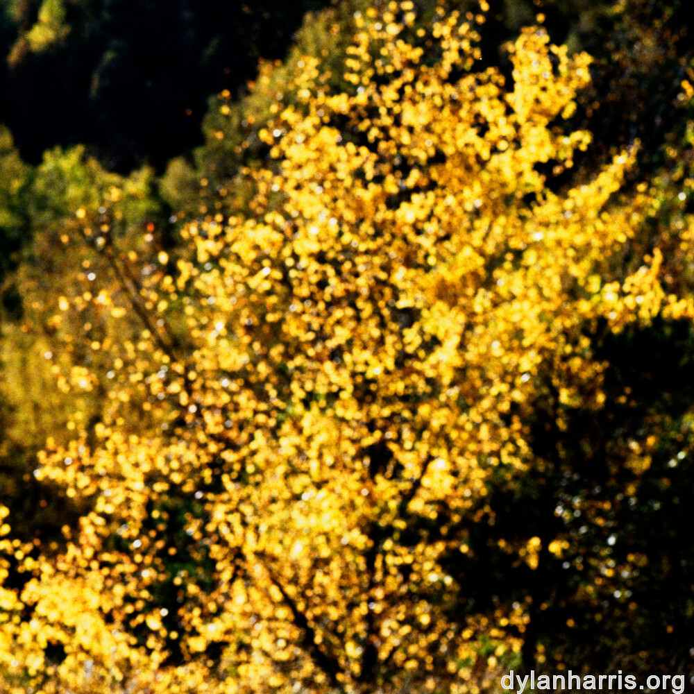 image: This is &lsquo;rumelange 5&rsquo;.