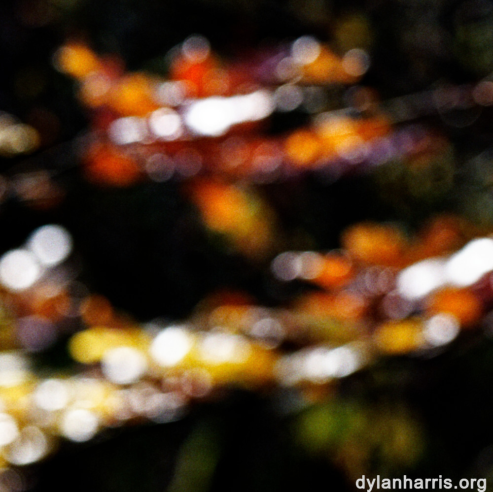 image: This is &lsquo;rumelange 6&rsquo;.