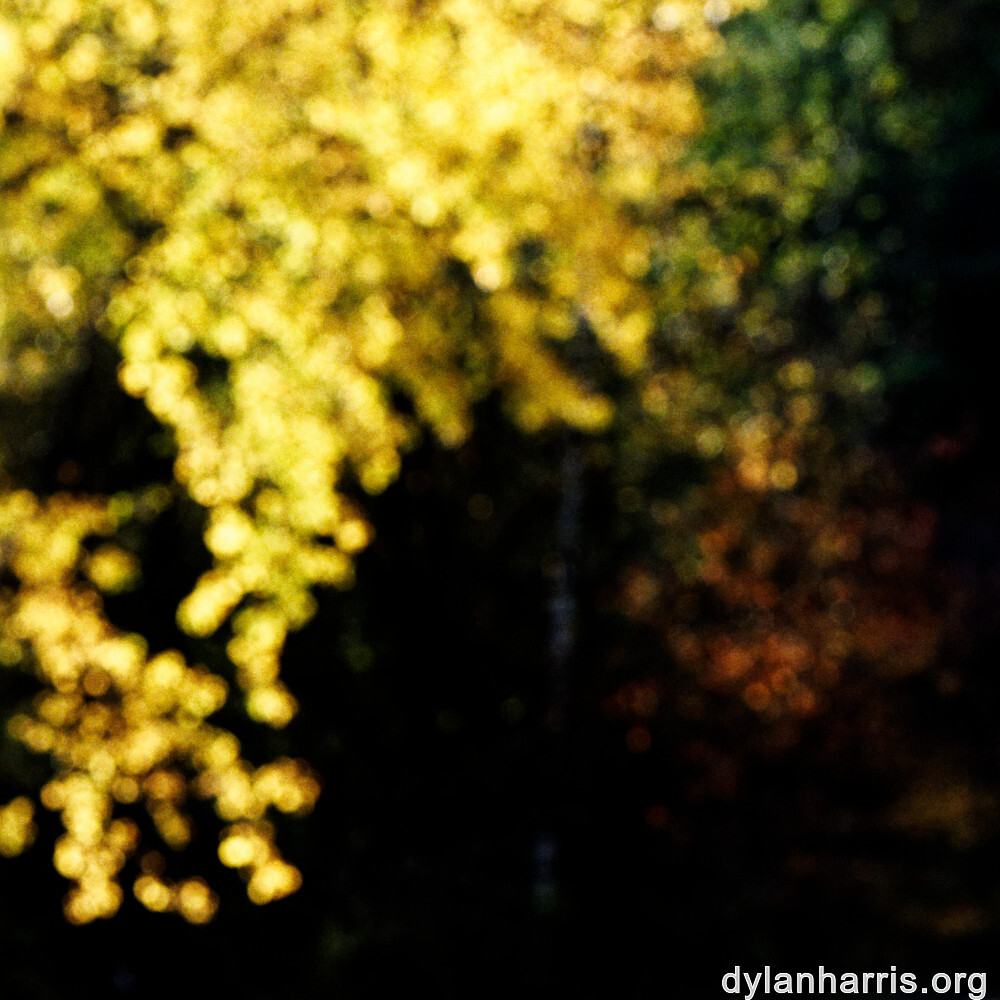 image: This is &lsquo;rumelange 7&rsquo;.