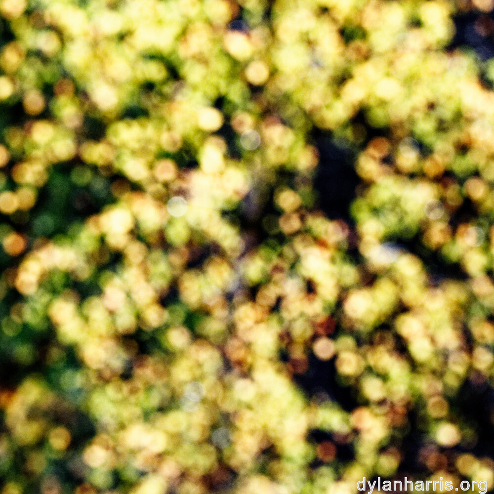 image: This is &lsquo;rumelange 8&rsquo;.