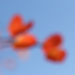 image: Image from the photoset &lsquo;rumelange (xxii)&rsquo;.