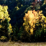 image: Image from the photoset &lsquo;rumelange (xxii)&rsquo;.