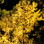 image: Image from the photoset &lsquo;rumelange (xxii)&rsquo;.