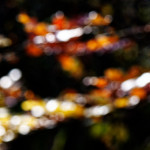 image: Image from the photoset &lsquo;rumelange (xxii)&rsquo;.