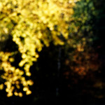 image: Image from the photoset &lsquo;rumelange (xxii)&rsquo;.