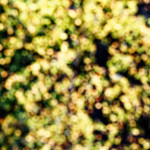 image: Image from the photoset &lsquo;rumelange (xxii)&rsquo;.