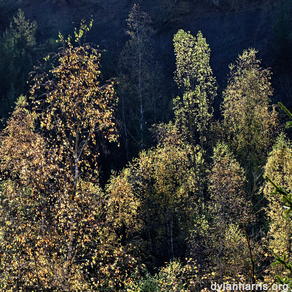 image: This is &lsquo;rumelange 2&rsquo;.