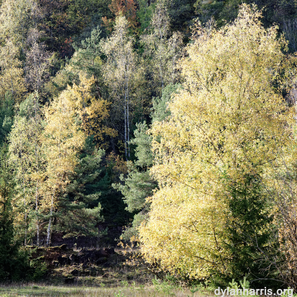 image: This is &lsquo;rumelange 4&rsquo;.