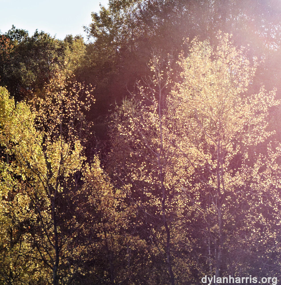 image: This is &lsquo;rumelange 5&rsquo;.