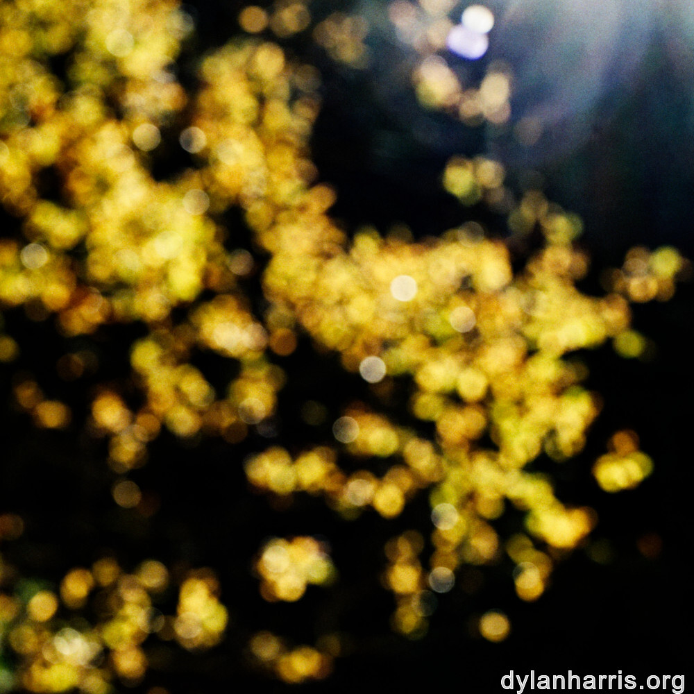 image: This is &lsquo;rumelange 7&rsquo;.